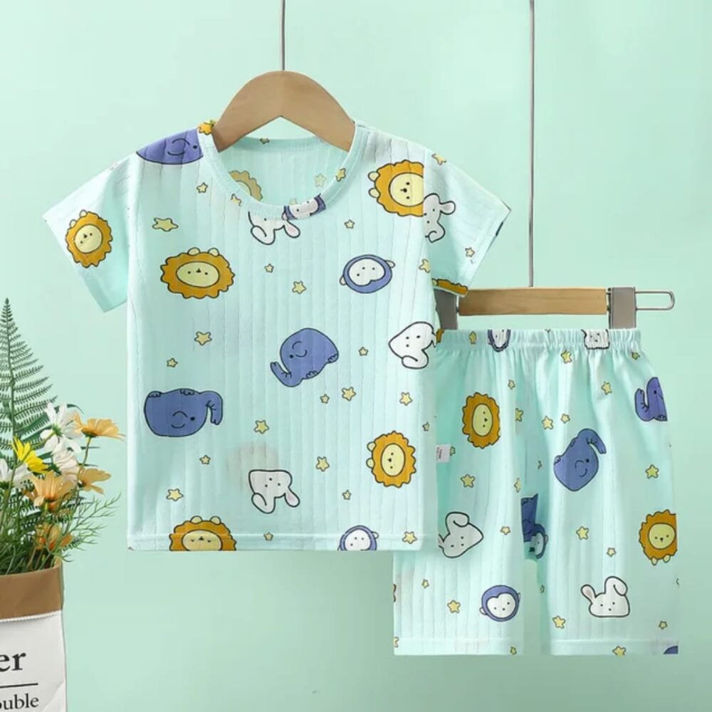 Boys Cotton Tshirt Set