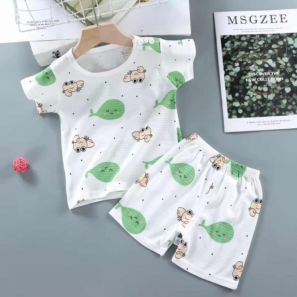 Boys Cotton Tshirt Set