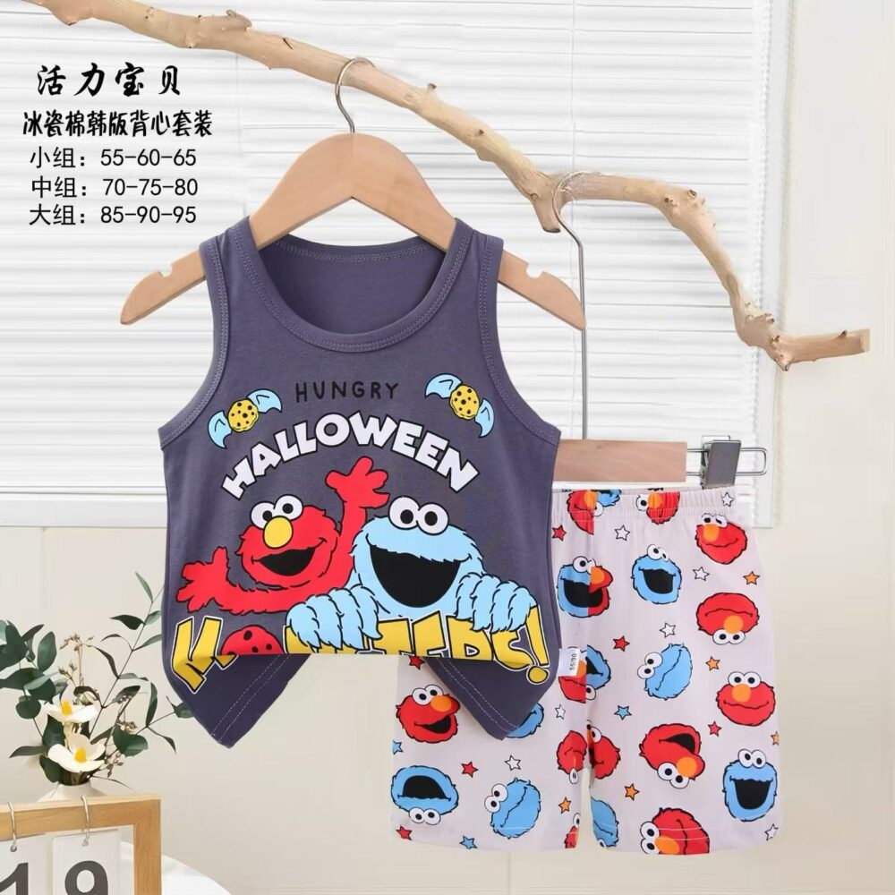 Boys Cotton Tshirt Set