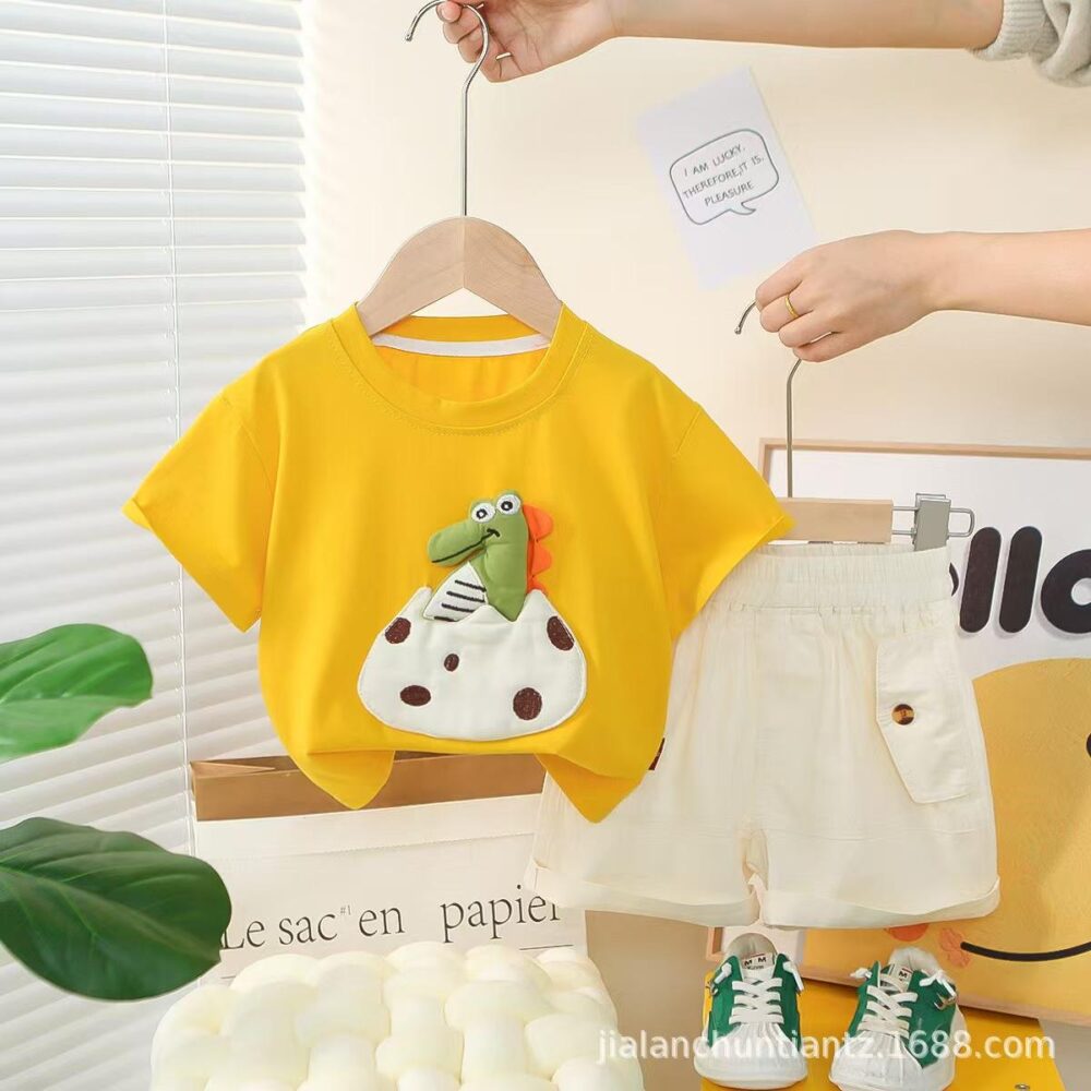Baby Boys Fancy Set