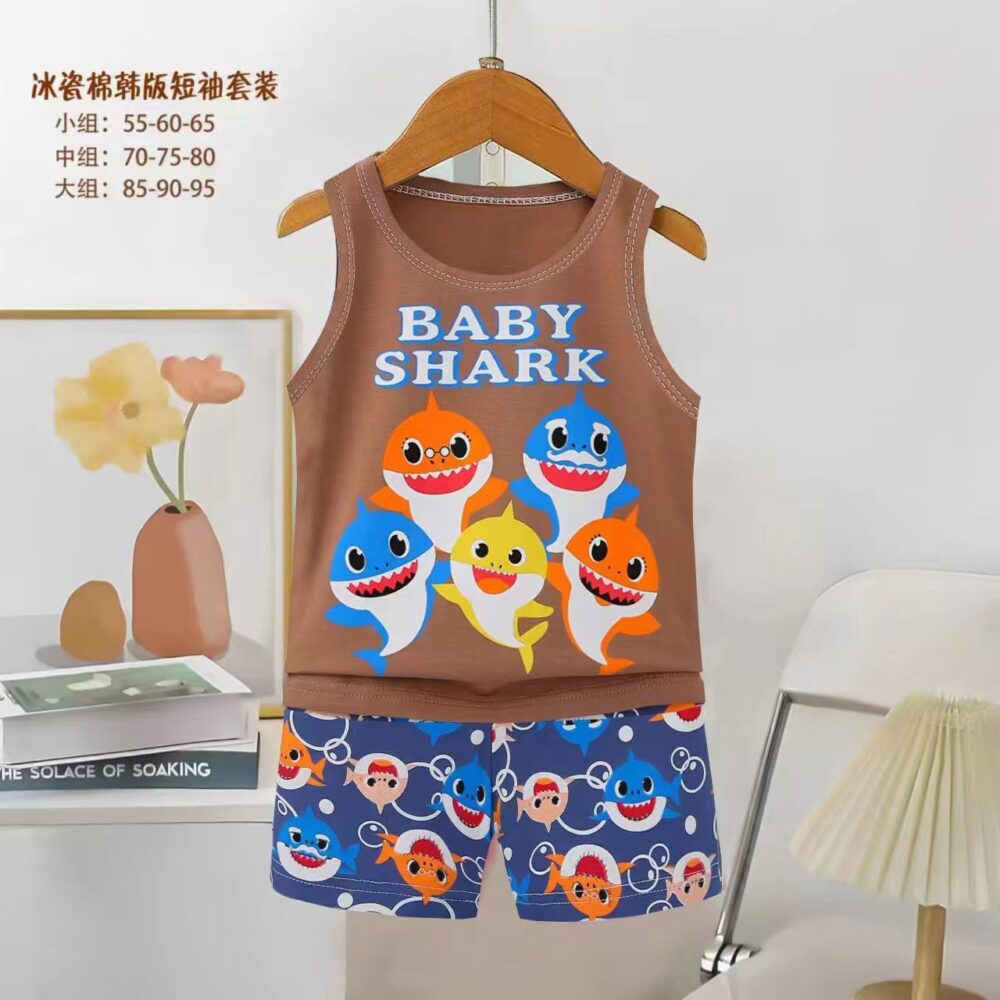 Boys Cotton Tshirt Set